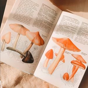 Ravenclaw - Vintage Mushroom Nature Guide Book 🍄